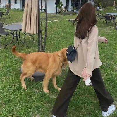 樱花队离散